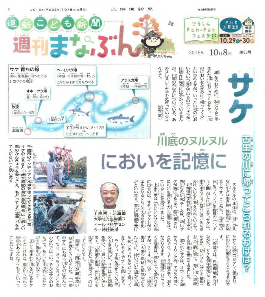 北海道新聞 道新こども新聞　週刊まなぶん